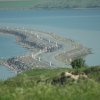 153-dsc_6348